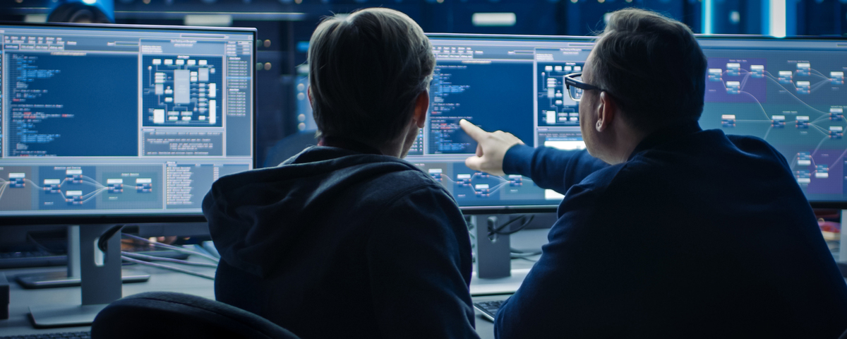 Two IT programmers working in an IT department